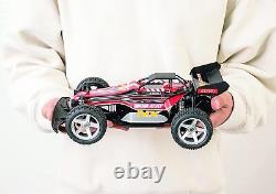 JOZEN DIRT MAX 1/20 Voiture RC BOB CAT NX Ready Set RTR JRVB120-RD En provenance du Japon Nouveau